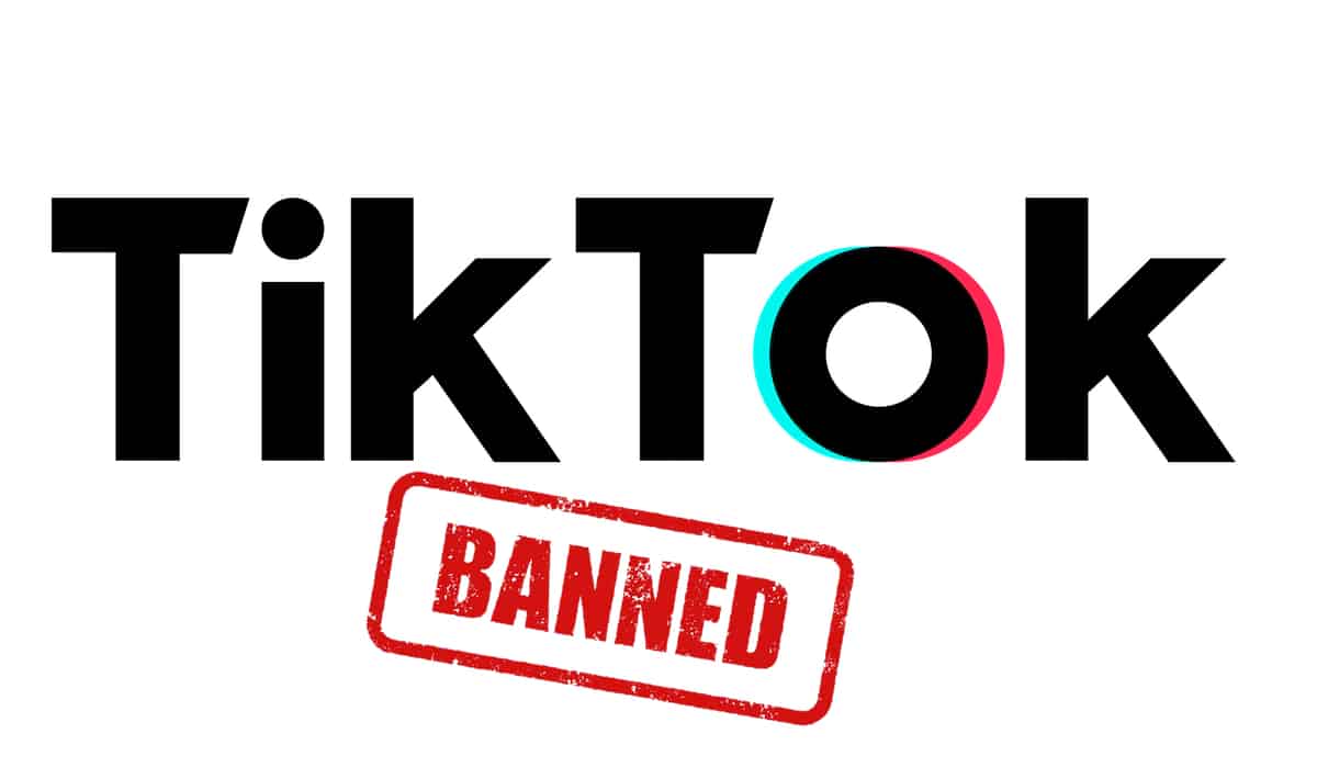 TikTok bientôt banni en France