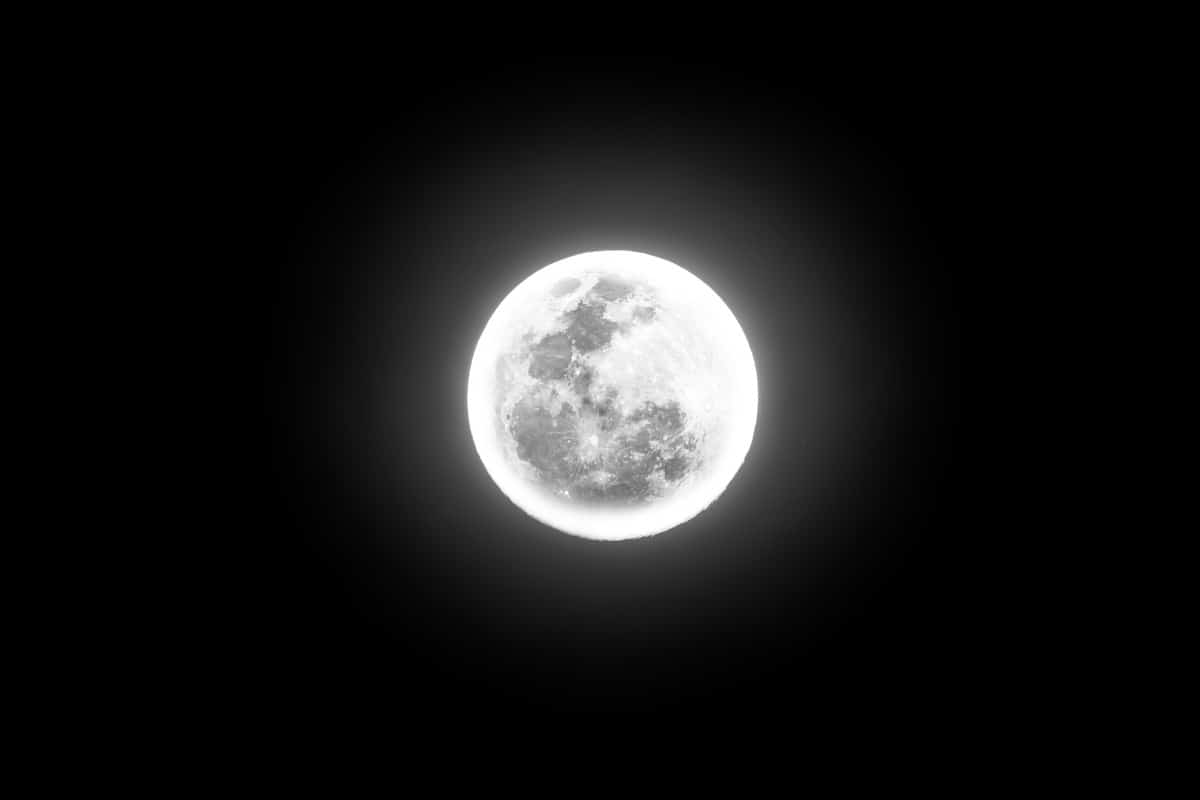 Super Lune Esturgeon