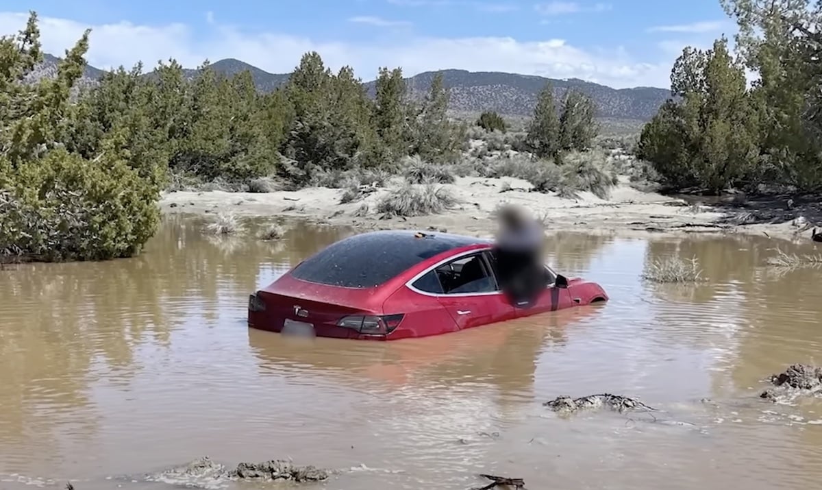 La Tesla plongée dans la flaque d'eau