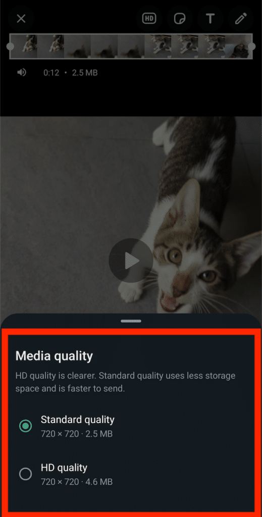 WhatsApp qualité vidéo HD