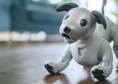 Aibo robot chien Sony