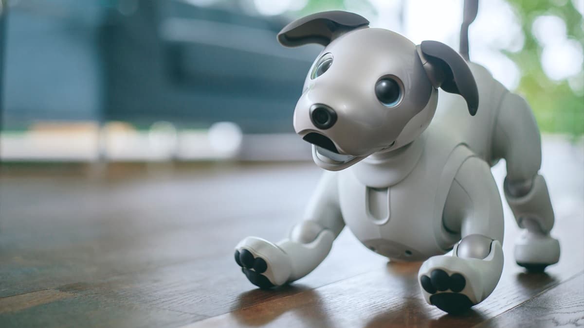 Aibo robot-chien Sony