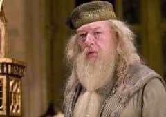 Dumbledore Harry Potter Acteur