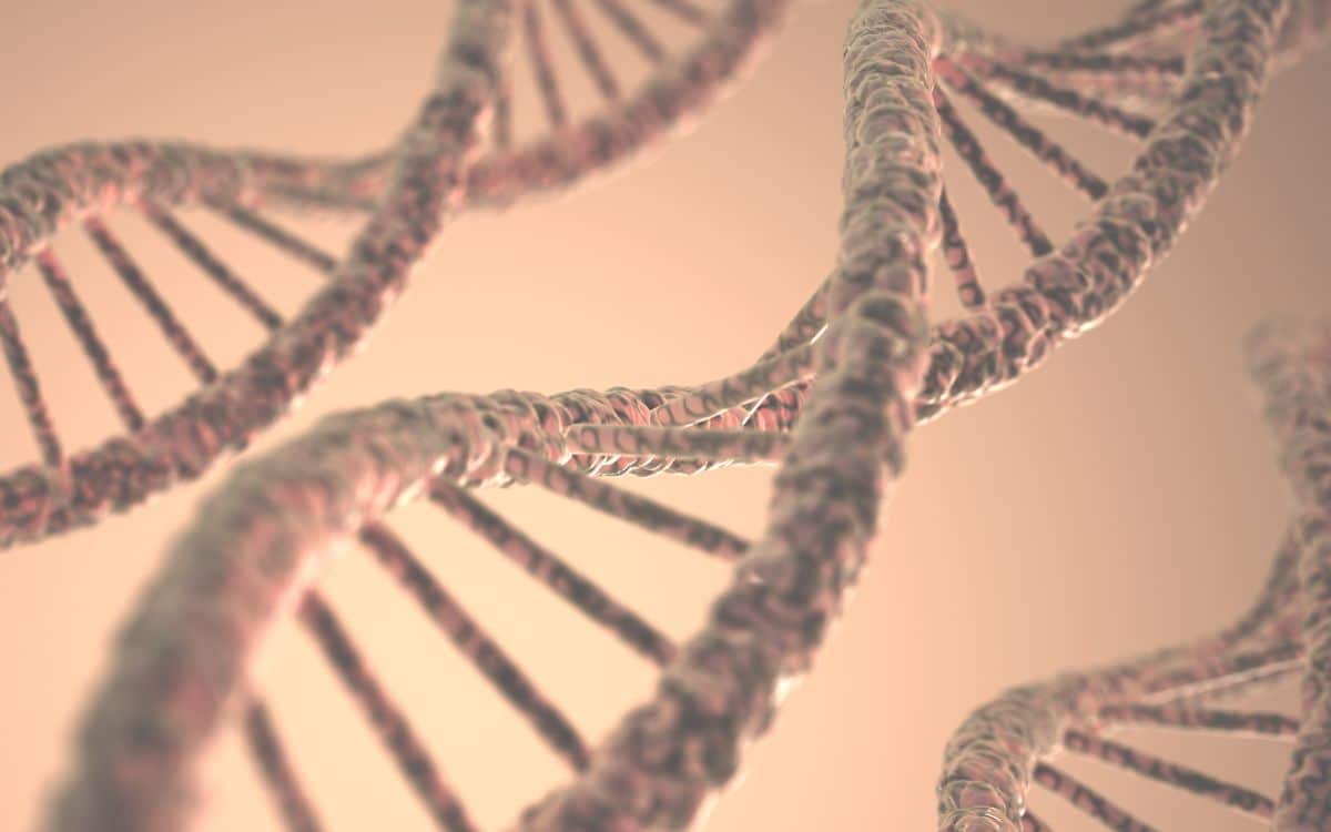 23andMe piratage pirate test génétique adn
