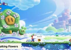 Super Mario Bros Wonder Fleurs Mod
