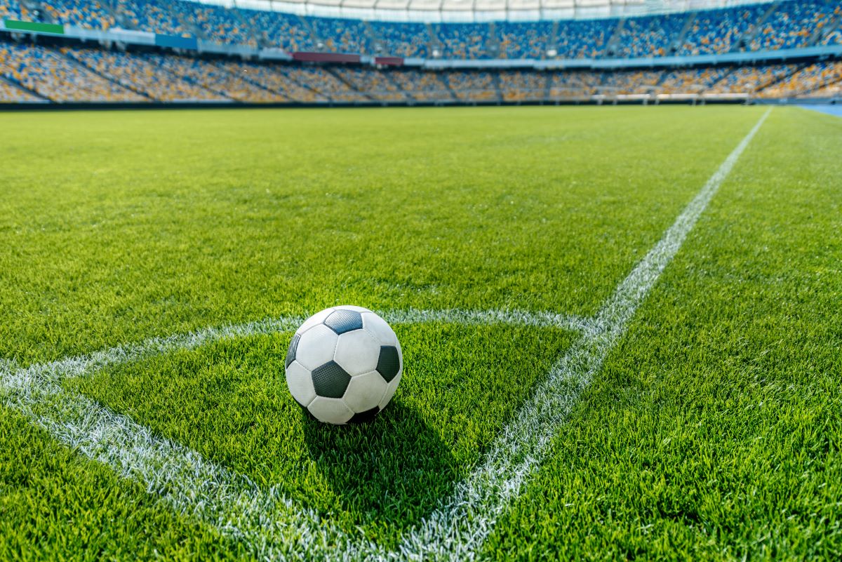 france écosse foot match amical bleus 