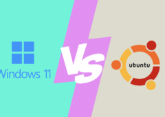 Windows 11 vs Ubuntu