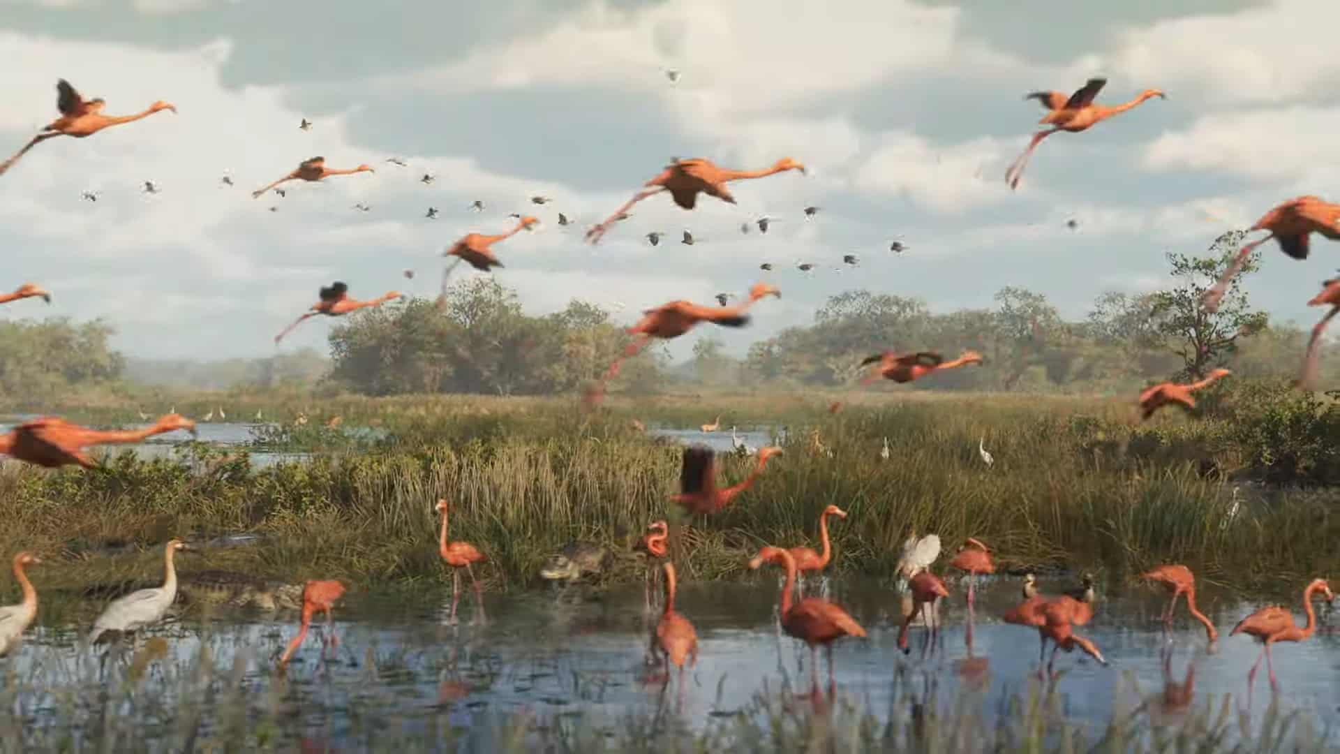 Flamants roses dans une zone marécageuse GTA 6