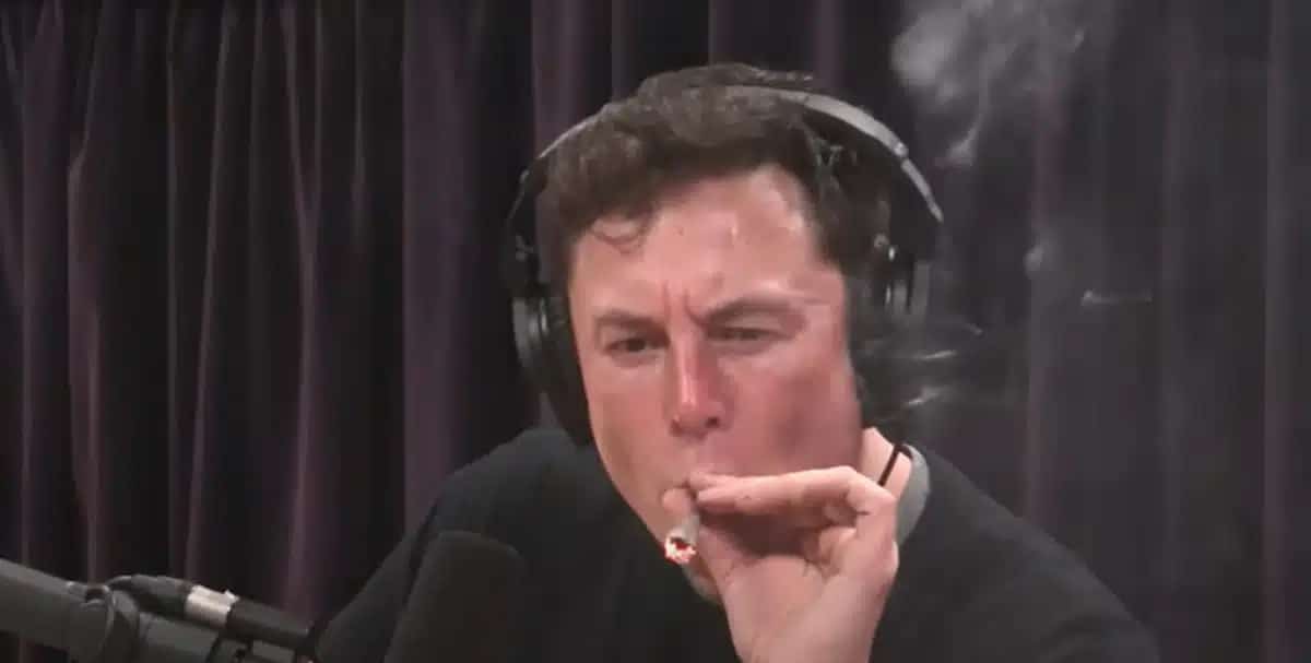 Elon Musk Joe Rogan joint