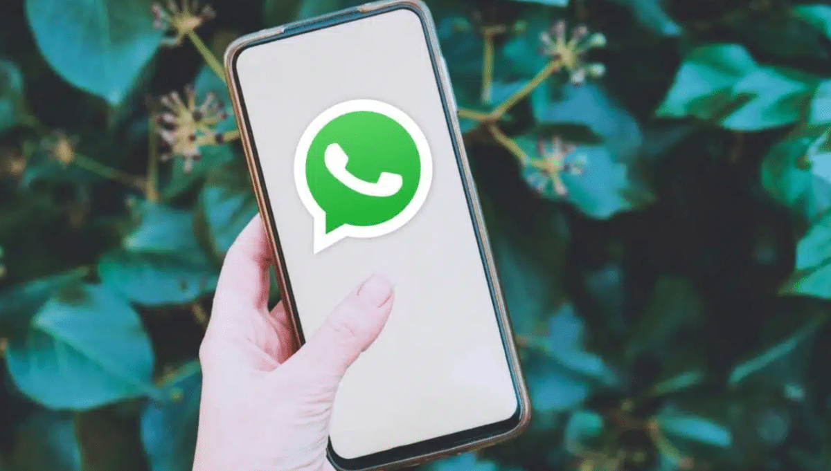 whatsapp capture d'écran bloque