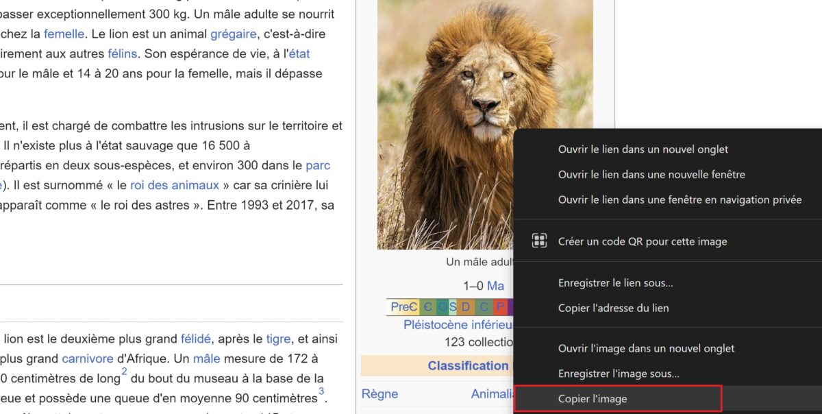 Copier une image sur Internet Windows