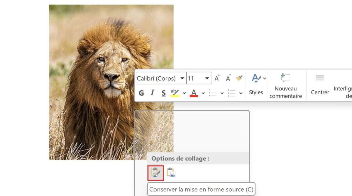 Coller l'image Internet sur Windows