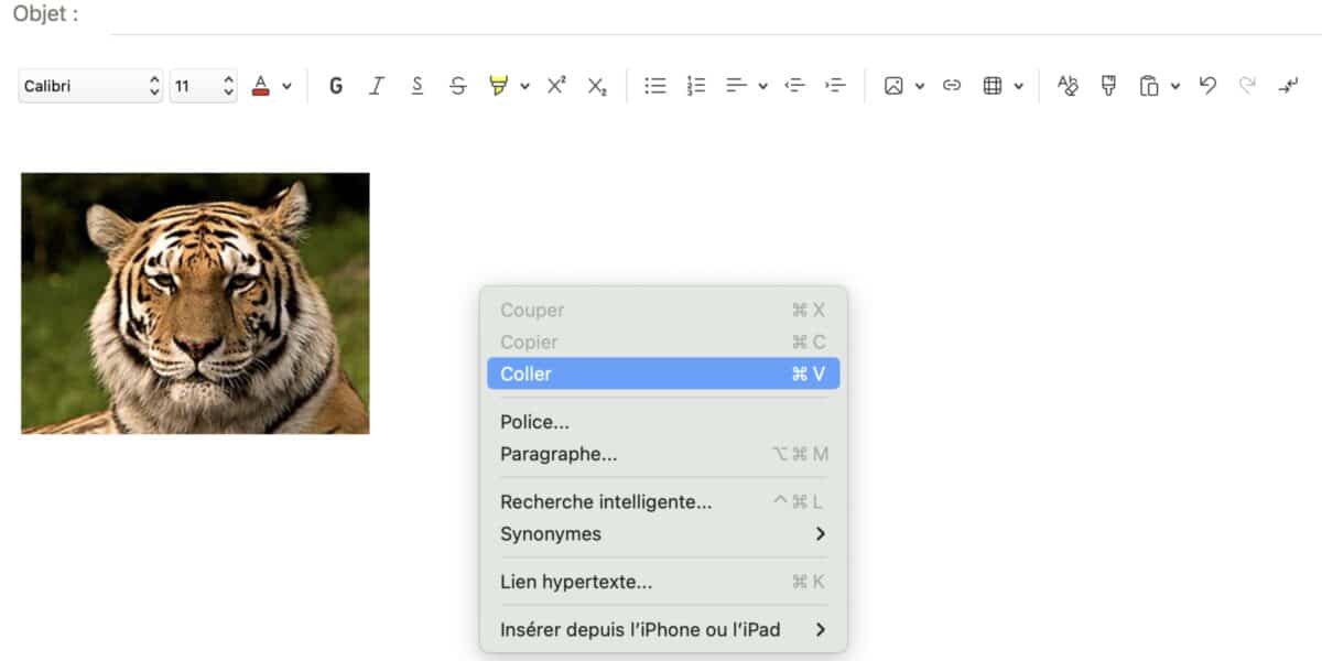 Coller l'image Internet sur Mac