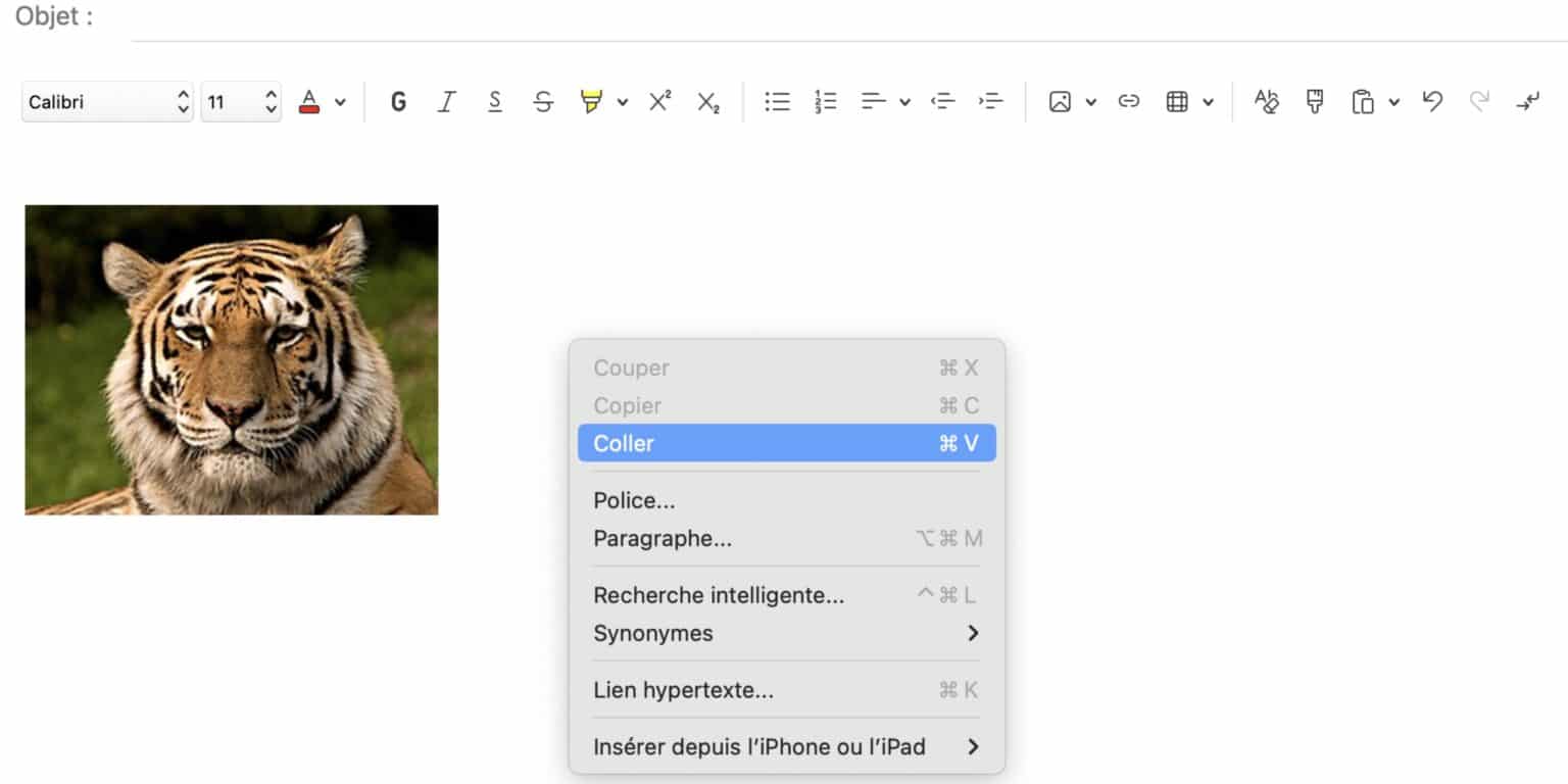 「comment」に関連した英語例文の一覧と使い方 - Weblio英語例文検索 visual data 6