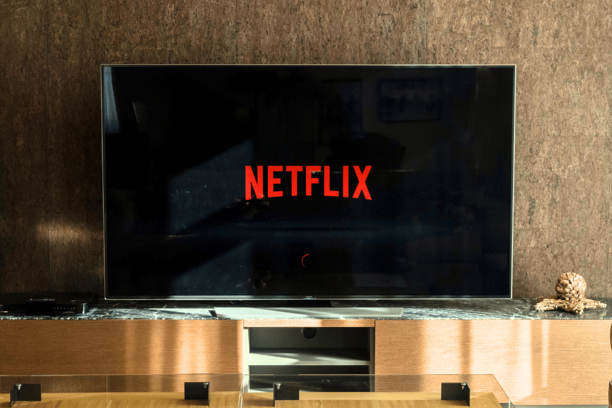 Netflix téléchargement illégal