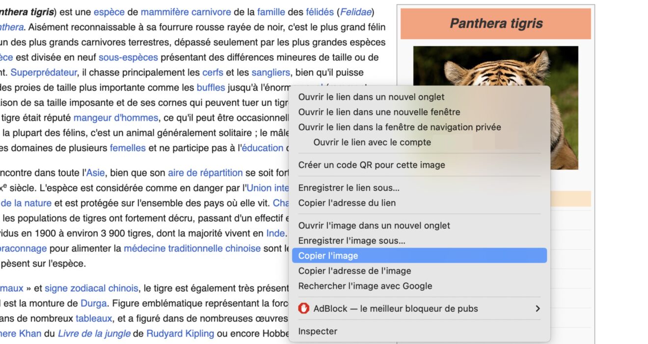 Comment copier et coller sur Windows et macOS