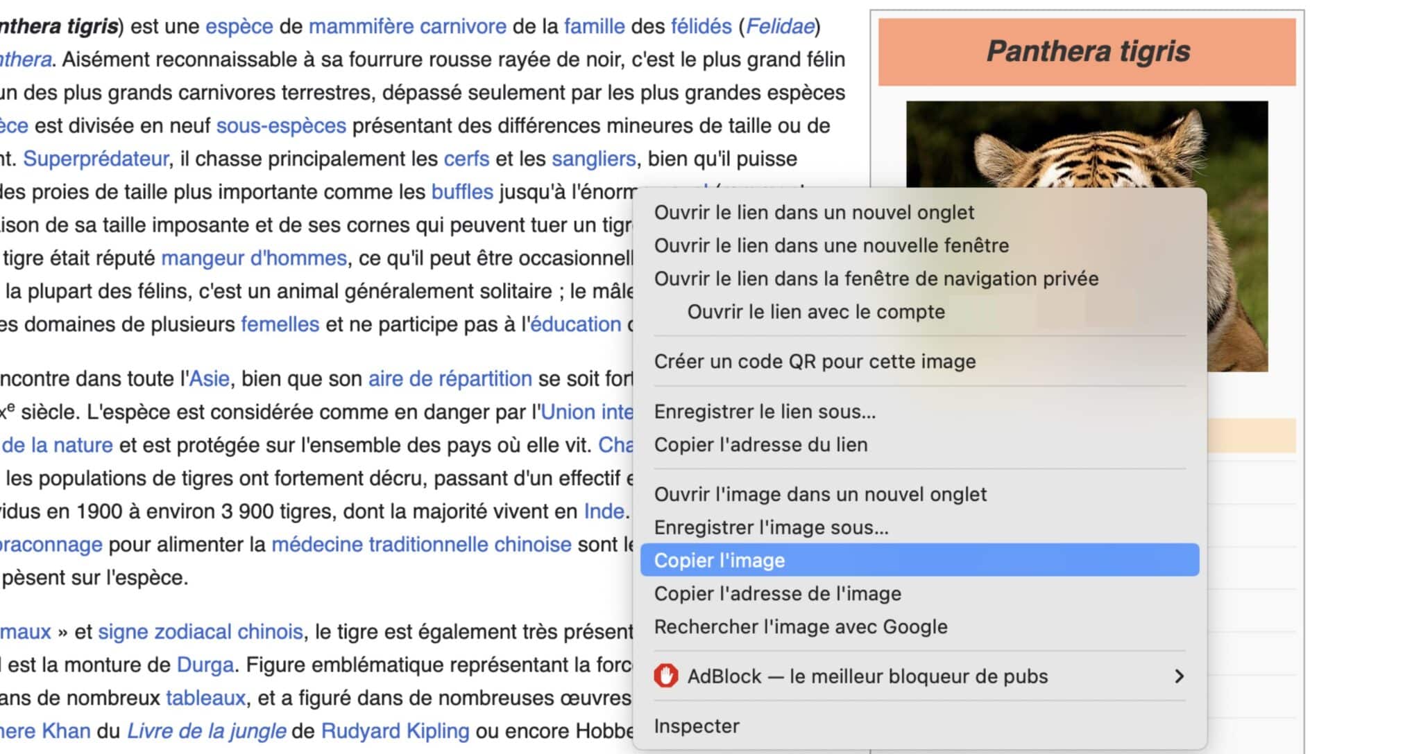 Comment copier et coller sur Windows et macOS