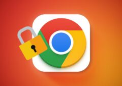 Google Chrome Protection IP