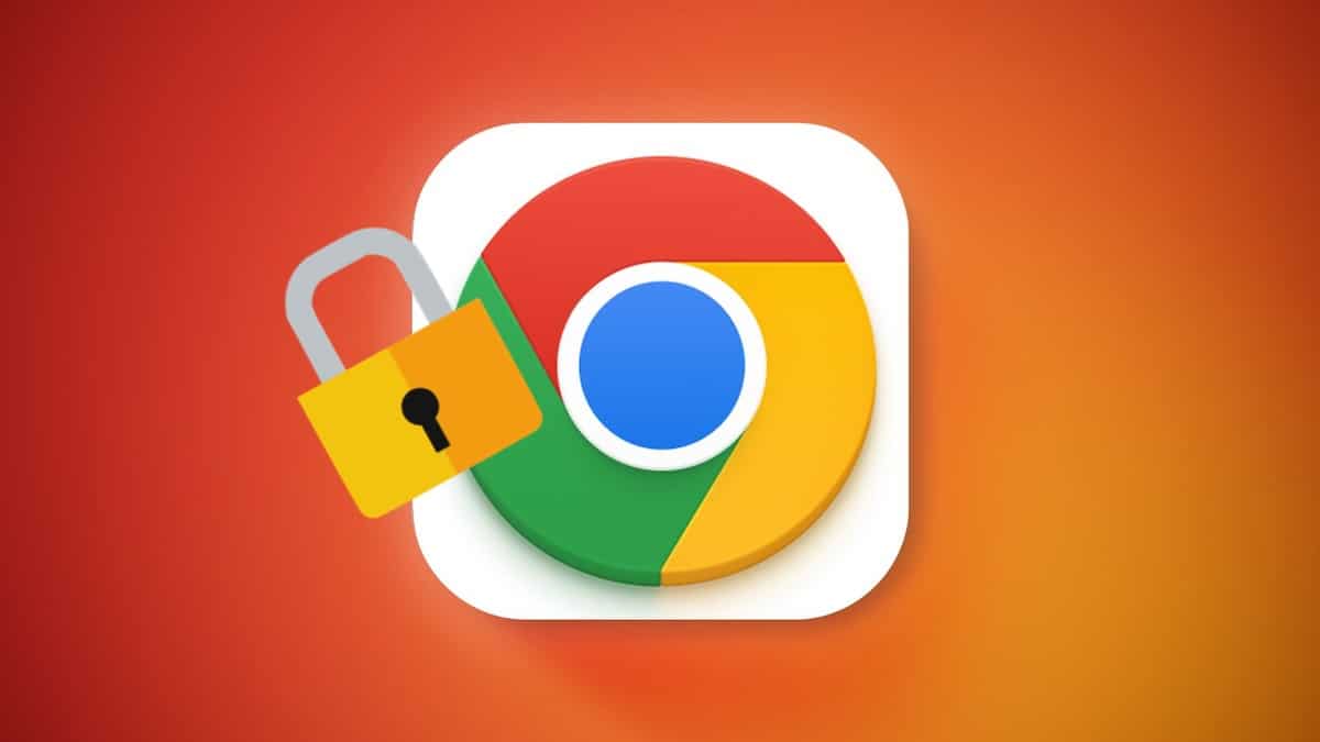 Google Chrome Protection IP