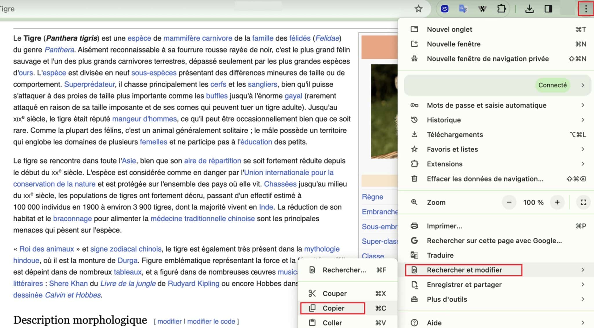 Comment copier et coller sur Windows et macOS