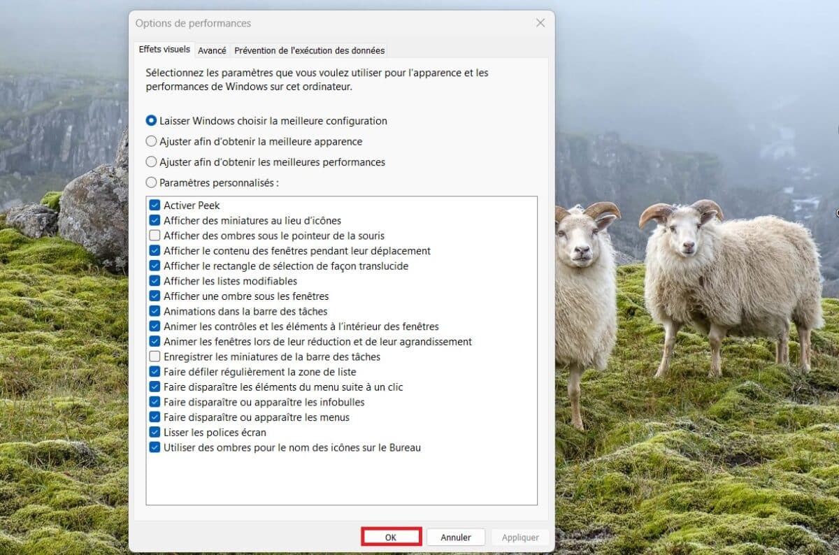 windows 11 effets visuels désactiver