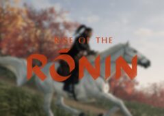 Test Rise of Ronin