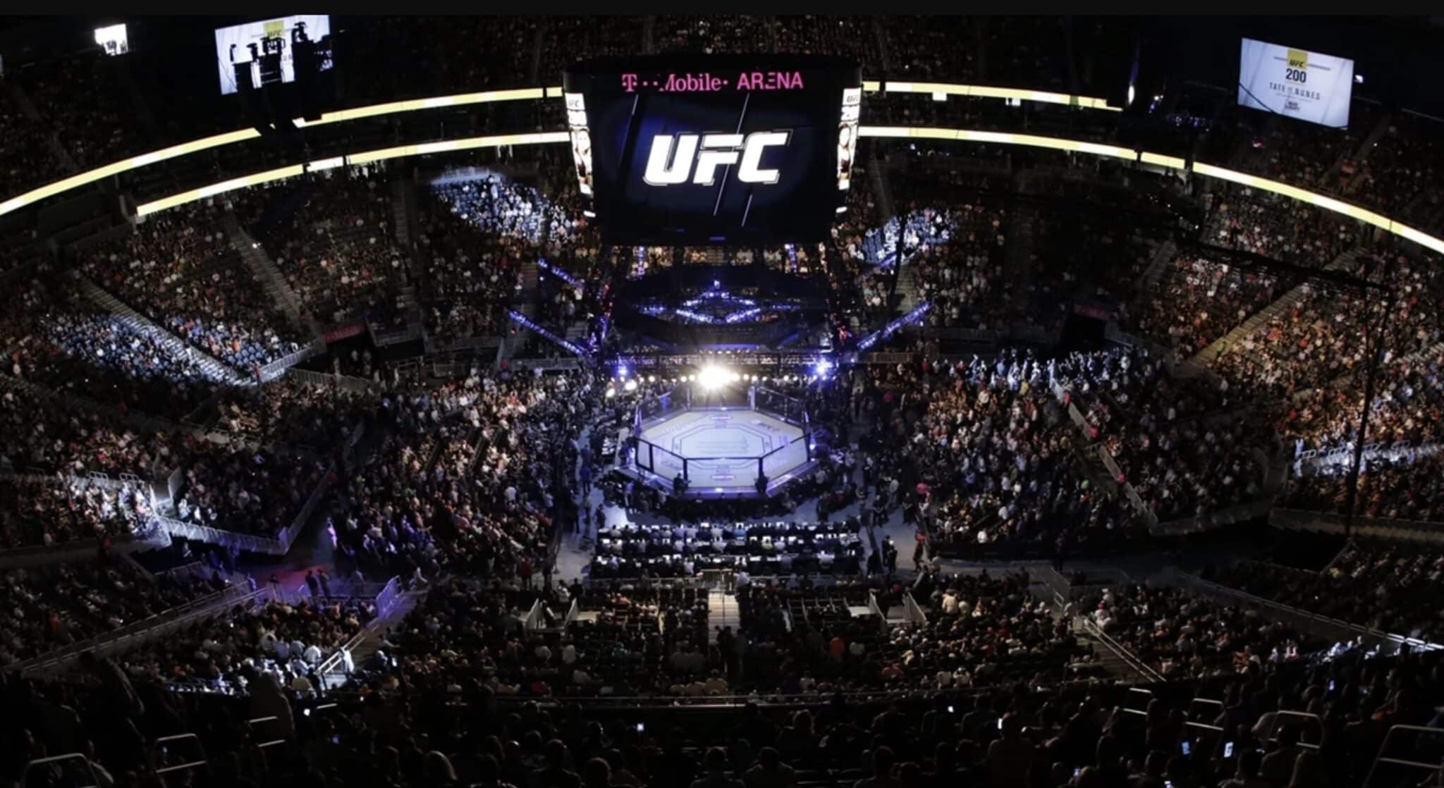 UFC octogone