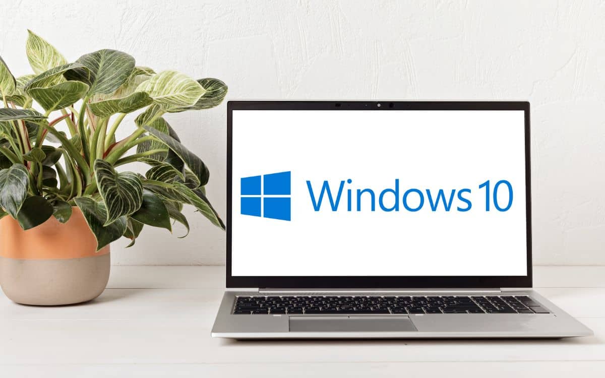 windows 10 patch tuesday mise à jour KB5035845 