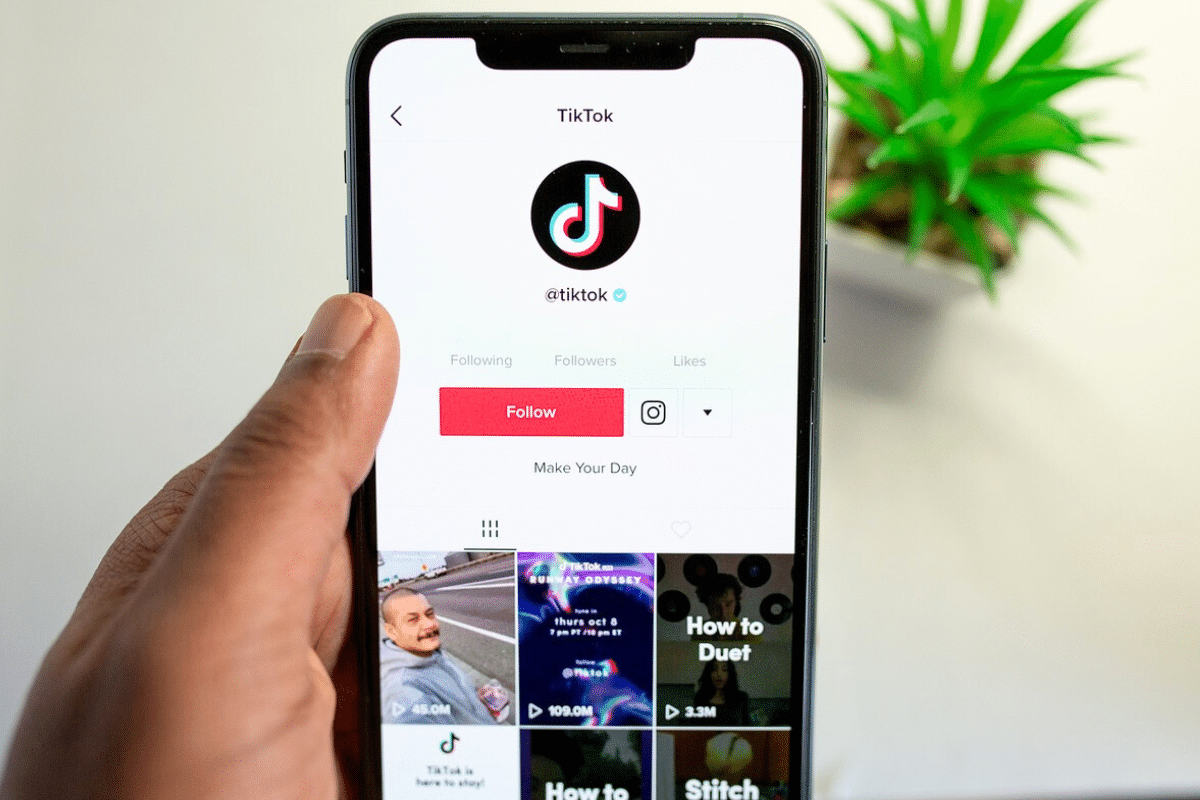 TikTok Lite interdit France argent