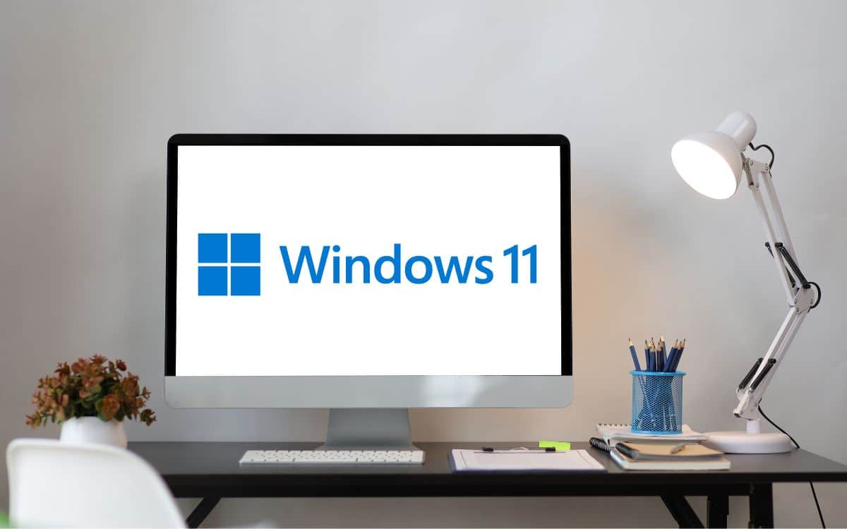Windows 11 Microsoft Windows 10 audience Windows XP système d'exploitation OS