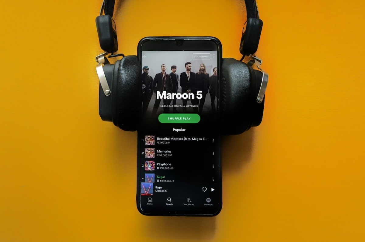 Spotify Music Pro