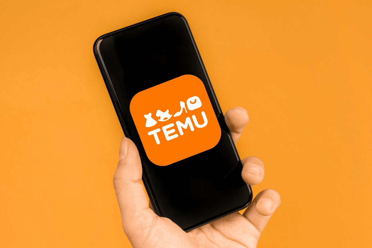 Temu fraude bancaire retraits compte