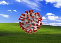 Windows XP 11 10 sécurité malwares 2024