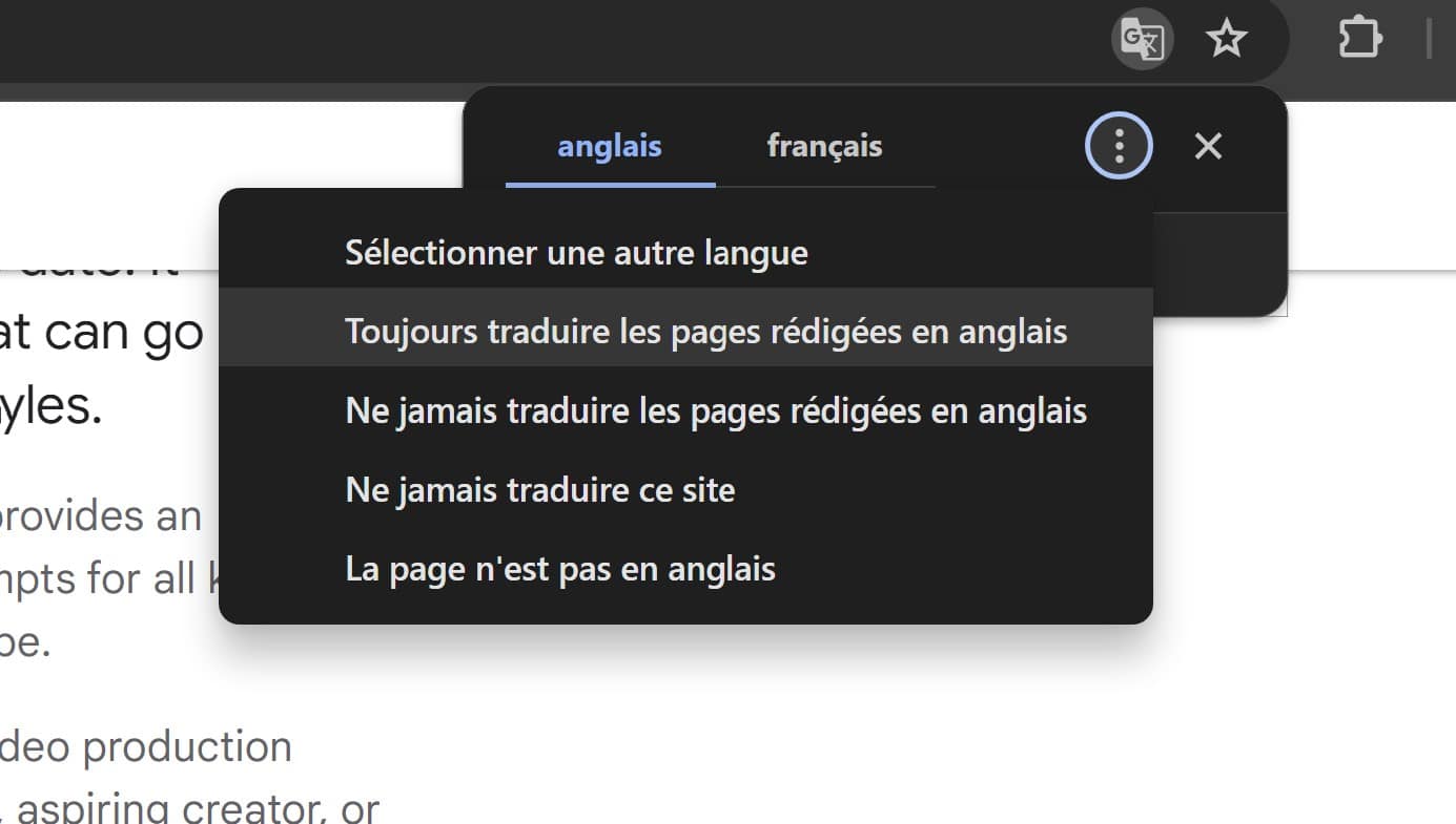 Google Traduction page web