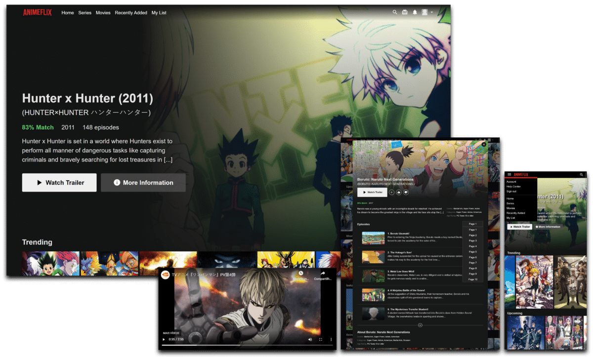 Animeflix ferme ses portes