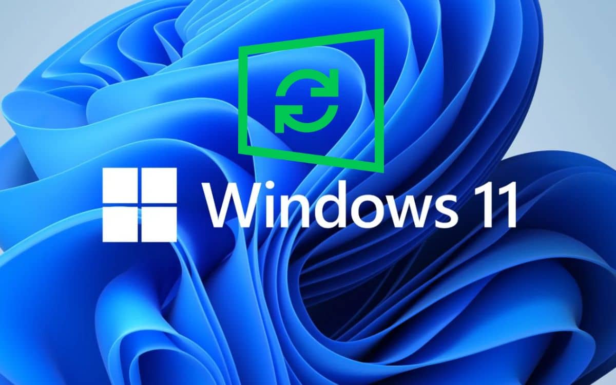 windows 11 mise à jour update microsoft 