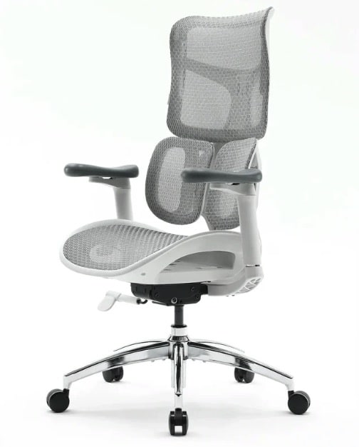 Sihoo Doro S100