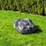 Robots tondeuses : c’est la saison pour profiter d’incroyables promos