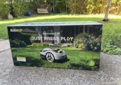 raccoon dans sa boite