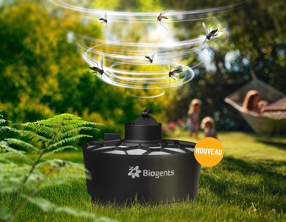 Image 3 : Moustiques, on peut s’en débarrasser avec de la rigueur et un certain budget