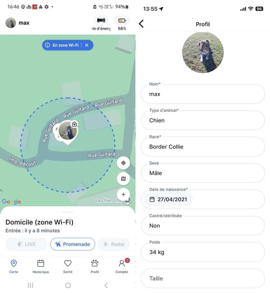 test du capteur GPS pour chien Tractive Dog6.