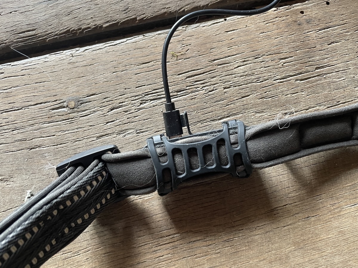 test du capteur GPS pour chien Tractive Dog6.