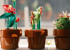 Bon plan lego fêtes des mères