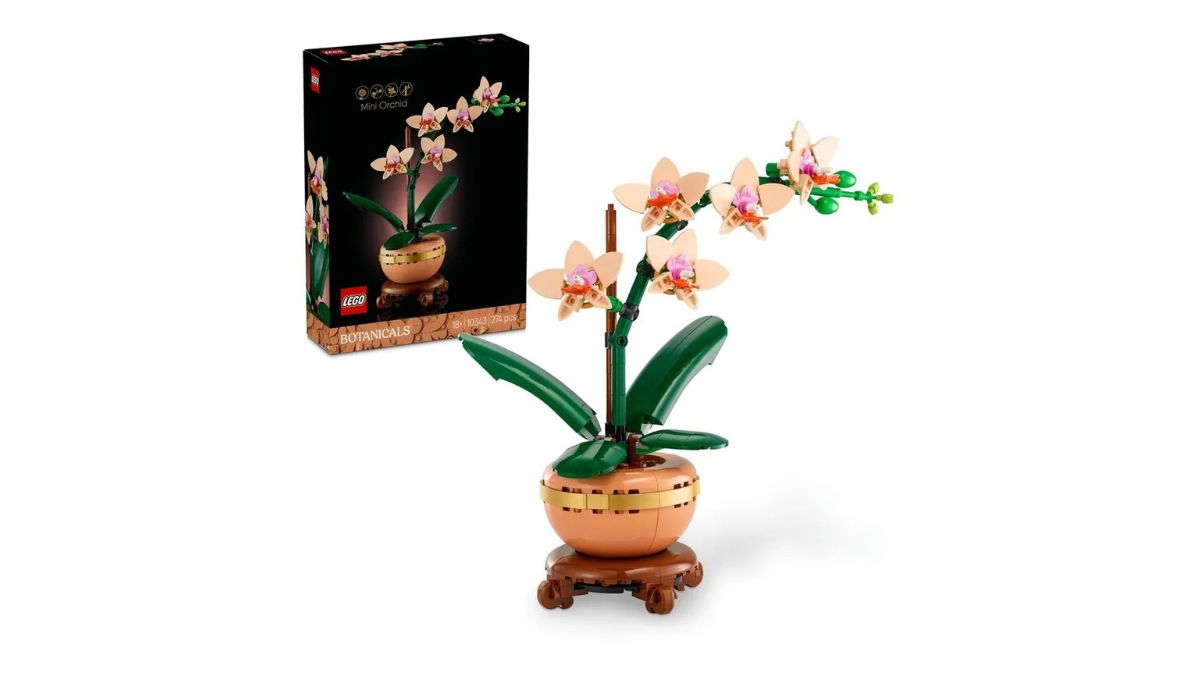 Image 2 : Bon plan LEGO Fête des Mères : 20 € de remise dès 60 € d'achats sur une sélection de sets chez Cdiscount !