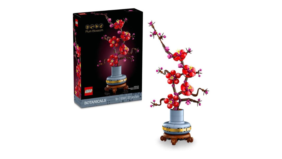 Image 5 : Bon plan LEGO Fête des Mères : 20 € de remise dès 60 € d'achats sur une sélection de sets chez Cdiscount !