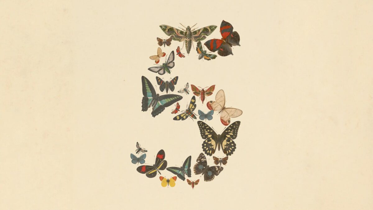 L'illustration officielle accompagnant le lancement de Claude Fable 5 et Mythos 5. Le chiffre 5, composé de papillons et de sphinx, fait écho à l'étymologie choisie par Anthropic : "Fable" vient du latin fabula ("ce qui est raconté"), parent du grec mythos. © Anthropic