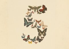 L'illustration officielle accompagnant le lancement de Claude Fable 5 et Mythos 5. Le chiffre 5, composé de papillons et de sphinx, fait écho à l'étymologie choisie par Anthropic : "Fable" vient du latin fabula ("ce qui est raconté"), parent du grec mythos. © Anthropic