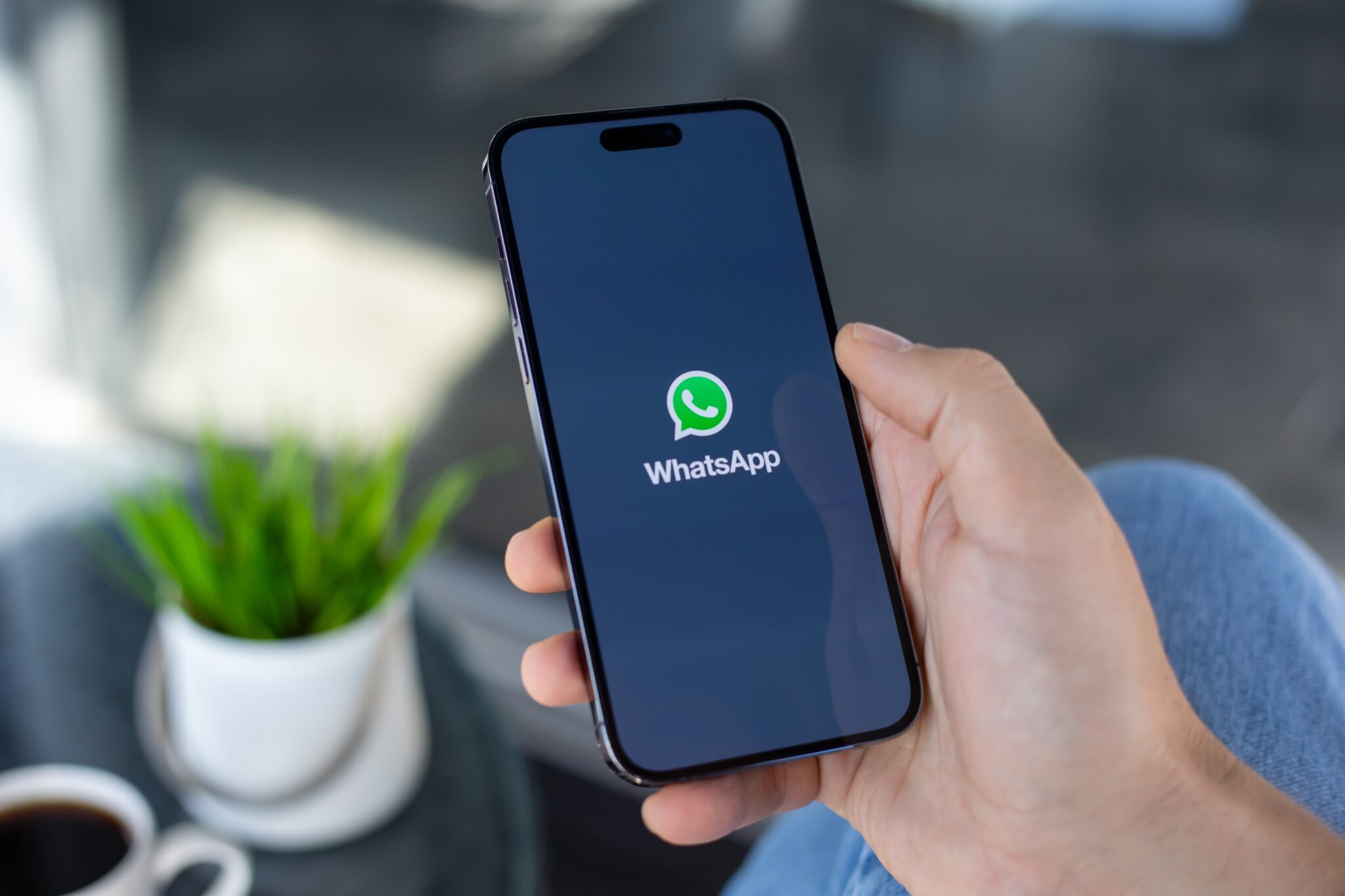 WhatsApp exigera iOS 15.5 et iPadOS 15.5 au minimum à partir du 30 novembre 2026. Les utilisateurs d'iPhone 6s, 7, SE 1ère génération, iPad Air 2 et iPad mini 4 doivent mettre à jour leur appareil pour conserver l'accès à l'application. © Shutterstock