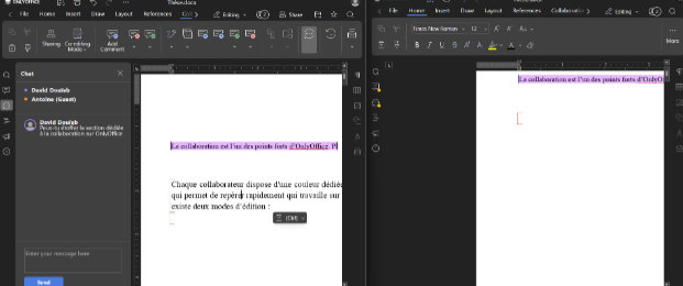 Image 14 : Test : ONLYOFFICE peut-il remplacer Microsoft 365 ?
