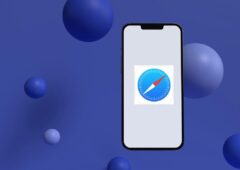 safari